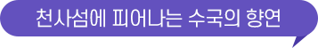 천사섬에 피어나는 수국의 향연