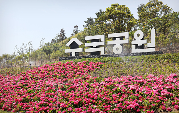 섬 수국축제 이미지
