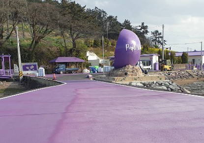 섬 보라색축제 이미지